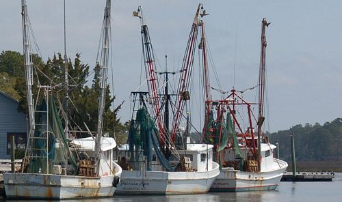 Trawl%20boats