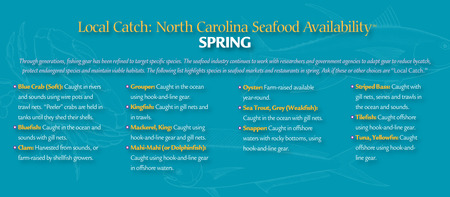 spring guide