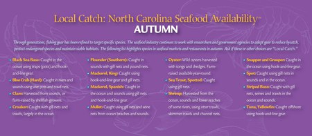 Autumn availability list