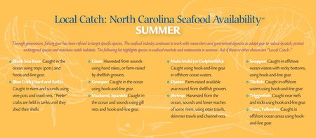summer availability list