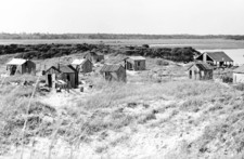 Mullet Camp Charles Farrell1938